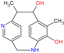 What's New Name - Cyclophanes